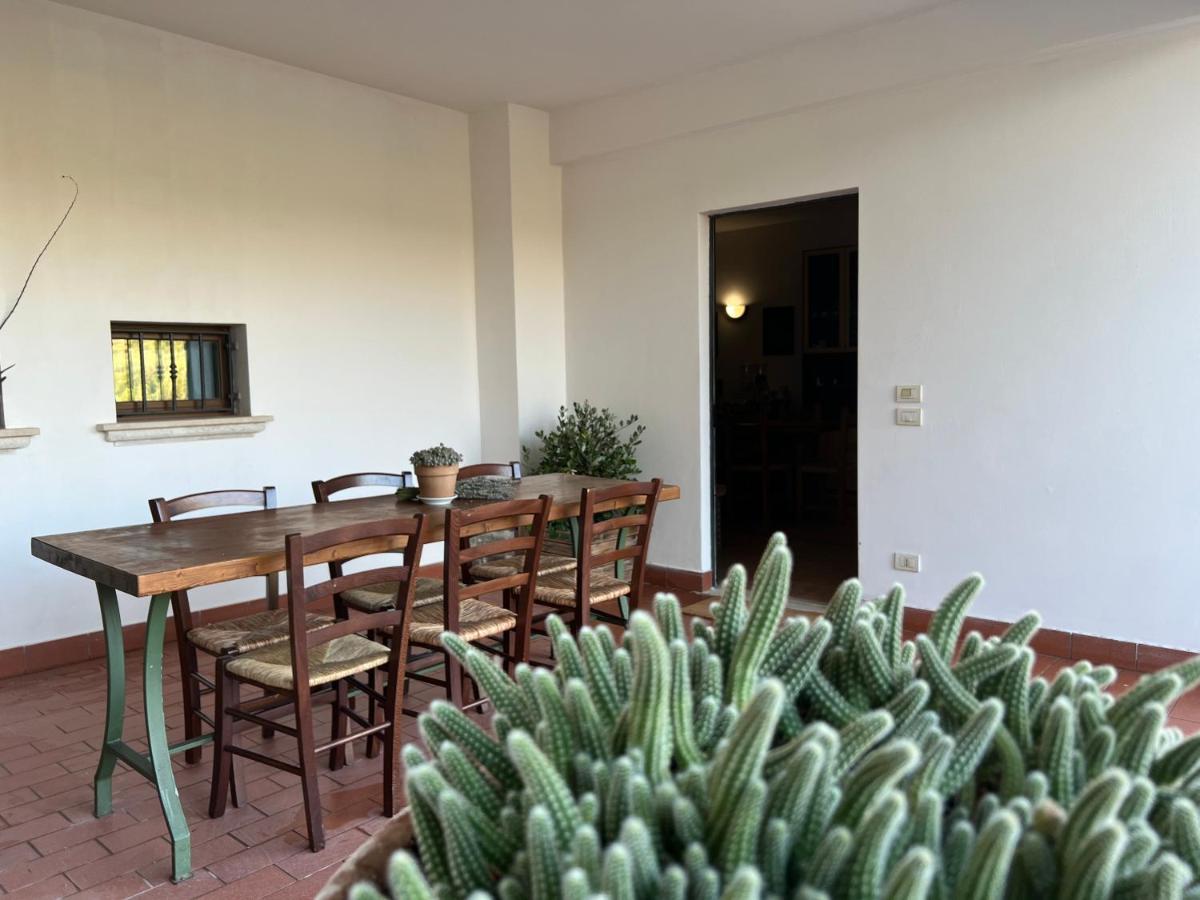 La Casa Di Demetra. Un Paradiso Tra Gli Olivi. Montecchio  Екстер'єр фото